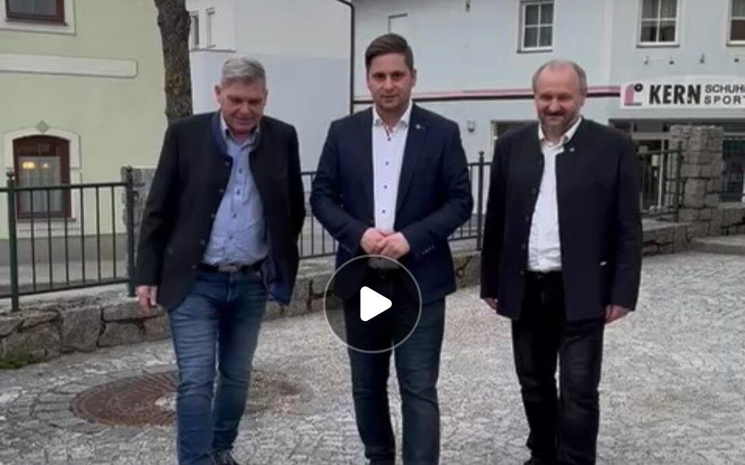 Warum uns wählen?